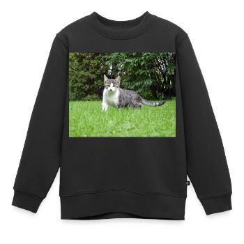 Neugieriges Kätzchen - Kinder Premium Organic Sweatshirt - Schwarz - Vorne - AI Model Kid Female (0cm)