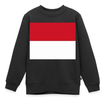 Monaco flag / Drapeau Monaco - Sweat Premium enfant bio - noir - Devant - AI Model Kid Female (0cm)