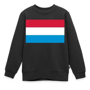 Nationalflagge von Holland - Kinder Premium Organic Sweatshirt - Schwarz - Vorne - AI Model Kid Female (0cm)