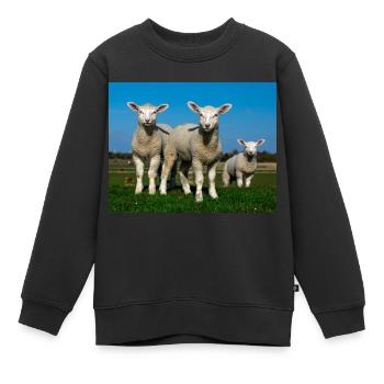 agneaux dans les pâturages - Sweat Premium enfant bio - noir - Devant - AI Model Kid Female (0cm)