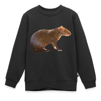 Agouti 4 - Kinder Premium Organic Sweatshirt - Schwarz - Vorne - AI Model Kid Female (0cm)
