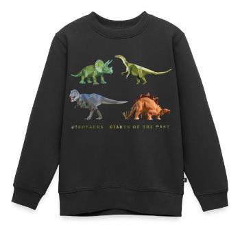 dinosaurier_06201401 - Kinder Premium Organic Sweatshirt - Schwarz - Vorne - AI Model Kid Female (0cm)