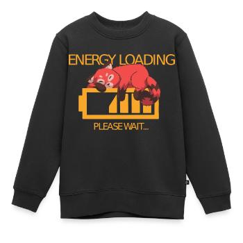 Niedrige Energie roter Panda schlafend Comic - Kinder Premium Organic Sweatshirt - Schwarz - Vorne - AI Model Kid Female (0cm)