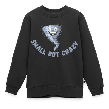 Klein aber fein - Kinder Premium Organic Sweatshirt - Schwarz - Vorne - AI Model Kid Female (0cm)