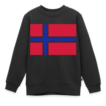 flagge - Kinder Premium Organic Sweatshirt - Schwarz - Vorne - AI Model Kid Female (0cm)