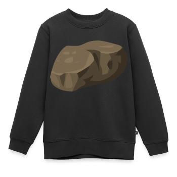 Stein - Kinder Premium Organic Sweatshirt - Schwarz - Vorne - AI Model Kid Female (0cm)