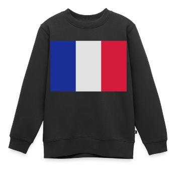 Flagg - Kinder Premium Organic Sweatshirt - Schwarz - Vorne - AI Model Kid Female (0cm)