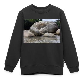 Felsen am Fluss - Kinder Premium Organic Sweatshirt - Schwarz - Vorne - AI Model Kid Female (0cm)