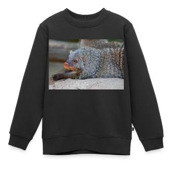 Mangouste baguée ou mangouste zébrée Zebramanguste - Sweat Premium enfant bio - noir - Devant - AI Model Kid Female (0cm)