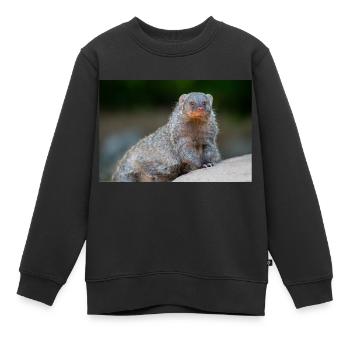 Mangouste à bandes Zèbre Mangouste Zebramanguste - Sweat Premium enfant bio - noir - Devant - AI Model Kid Female (0cm)