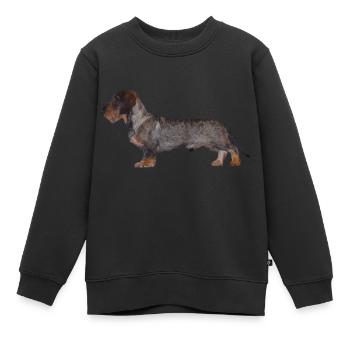 Dackel Rauhaar Dachshund Jagdhund Geschenkidee - Kinder Premium Organic Sweatshirt - Schwarz - Vorne - AI Model Kid Female (0cm)