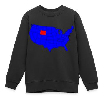 Bundesstaat Wyoming Lage - Kinder Premium Organic Sweatshirt - Schwarz - Vorne - AI Model Kid Female (0cm)