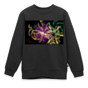 Feuerwerk - Kinder Premium Organic Sweatshirt - Schwarz - Vorne - AI Model Kid Female (0cm)