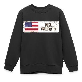 Mesa Flagge der Vereinigten Staaten - Kinder Premium Organic Sweatshirt - Schwarz - Vorne - AI Model Kid Female (0cm)