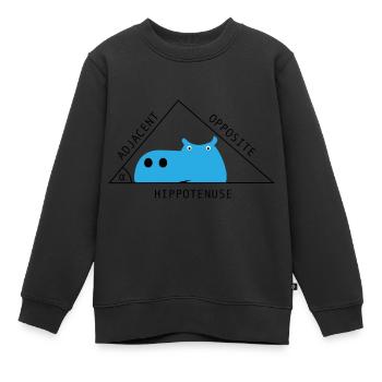 Mathematik - Kinder Premium Organic Sweatshirt - Schwarz - Vorne - AI Model Kid Female (0cm)