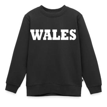 Wales - Kinder Premium Organic Sweatshirt - Schwarz - Vorne - AI Model Kid Female (0cm)