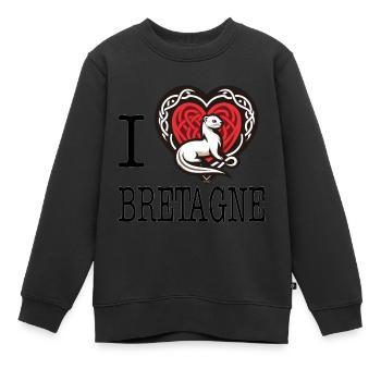 Ich liebe Bretagne Hermine curieuse - Kinder Premium Organic Sweatshirt - Schwarz - Vorne - AI Model Kid Female (0cm)
