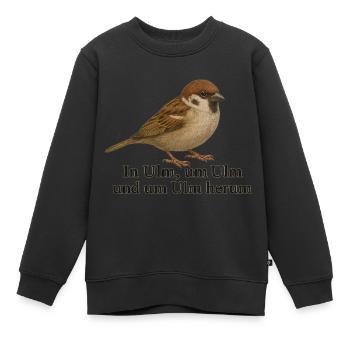 À Ulm, autour d’Ulm et autour d’Ulm - Sweat Premium enfant bio - noir - Devant - AI Model Kid Female (0cm)