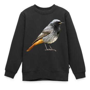 Redtail Robin - Kids Premium Organic Sweatshirt - black - Front - AI Model Kid Female (0cm)