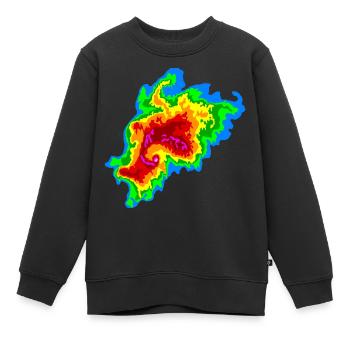 Joplin Superzelle, Tornado, Radar, Sturmjäger - Kinder Premium Organic Sweatshirt - Schwarz - Vorne - AI Model Kid Female (0cm)