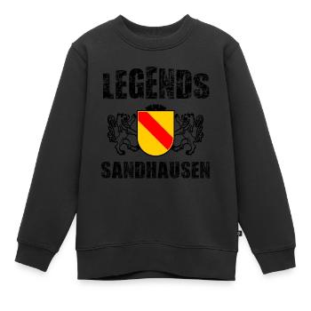 Die Sandhausener Mythen - Kinder Premium Organic Sweatshirt - Schwarz - Vorne - AI Model Kid Female (0cm)