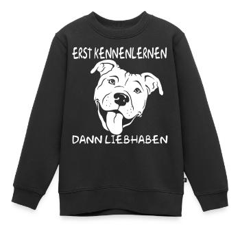 Erst Kennenlernen - Dann Liebhaben - Kinder Premium Organic Sweatshirt - Schwarz - Vorne - AI Model Kid Female (0cm)