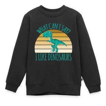 Dino Dinosaurier Urzeit Echse - Kinder Premium Organic Sweatshirt - Schwarz - Vorne - AI Model Kid Female (0cm)