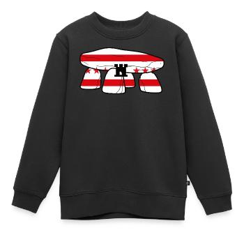 Drenthe Dolmen - Sweat Premium enfant bio - noir - Devant - AI Model Kid Female (0cm)