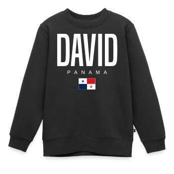 David Panama Panamaer - Kinder Premium Organic Sweatshirt - Schwarz - Vorne - AI Model Kid Female (0cm)