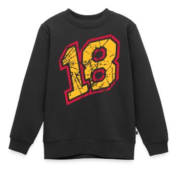 18 rayures colorées fissures numéro de parti dix-huit année complète - Sweat Premium enfant bio - noir - Devant - AI Model Kid Female (0cm)