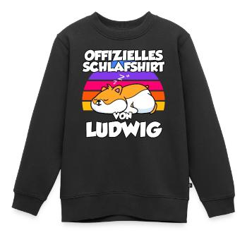 Offizielles Schlafshirt Von Ludwig - Kinder Premium Organic Sweatshirt - Schwarz - Vorne - AI Model Kid Female (0cm)