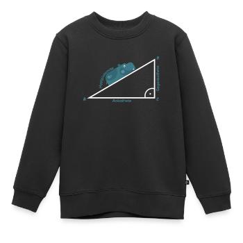 Pythagoras Hypotenuse Mathe Shirt Geschenk - Kinder Premium Organic Sweatshirt - Schwarz - Vorne - AI Model Kid Female (0cm)