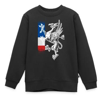 griffon debout bleu blanc rouge Rostock - Sweat Premium enfant bio - noir - Devant - AI Model Kid Female (0cm)