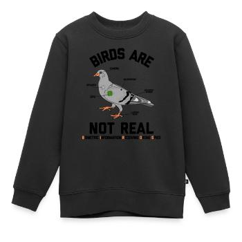 Vögel nicht wirklich Spion Taube Lustige Drohne Verschwörung - Kinder Premium Organic Sweatshirt - Schwarz - Vorne - AI Model Kid Female (0cm)