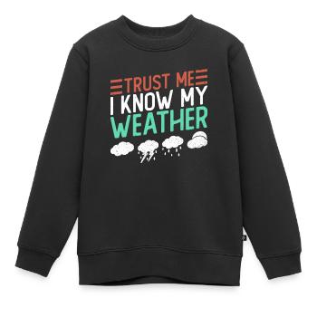 Météorologue Météo Climat Prévisions Météo - Sweat Premium enfant bio - noir - Devant - AI Model Kid Female (0cm)
