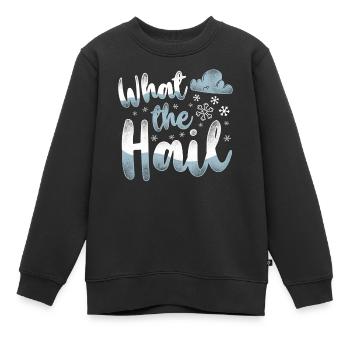 Météorologue Prévisions météorologiques - Sweat Premium enfant bio - noir - Devant - AI Model Kid Female (0cm)