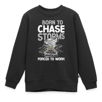 Storm Chaser Hurricane Meteorology - Kinder Premium Organic Sweatshirt - Schwarz - Vorne - AI Model Kid Female (0cm)