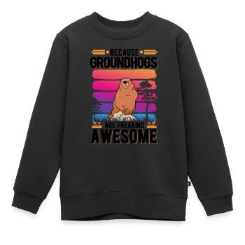 Marmotte Marmotte Forêt Marmotte Marmotte - Sweat Premium enfant bio - noir - Devant - AI Model Kid Female (0cm)