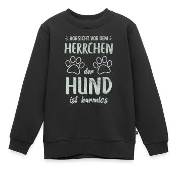 Vorsicht Vor Dem Herrchen Der Hund Ist Harmlos - Kinder Premium Organic Sweatshirt - Schwarz - Vorne - AI Model Kid Female (0cm)