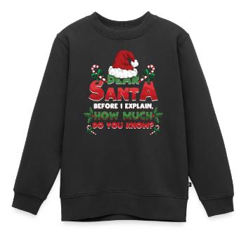 December Santa Explain Love Christmas - Kinder Premium Organic Sweatshirt - Schwarz - Vorne - AI Model Kid Female (0cm)