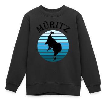 Müritzsee Kontur - Découvrez la nature à l’état pur - Sweat Premium enfant bio - noir - Devant - AI Model Kid Female (0cm)