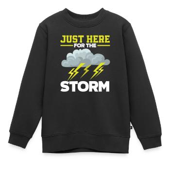 Nur Hier Für Den Sturm Sturmjäger - Kinder Premium Organic Sweatshirt - Schwarz - Vorne - AI Model Kid Female (0cm)