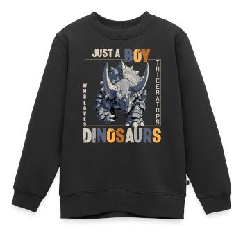 Juste un garçon qui aime les dinosaures Tricératops - Sweat Premium enfant bio - noir - Devant - AI Model Kid Female (0cm)