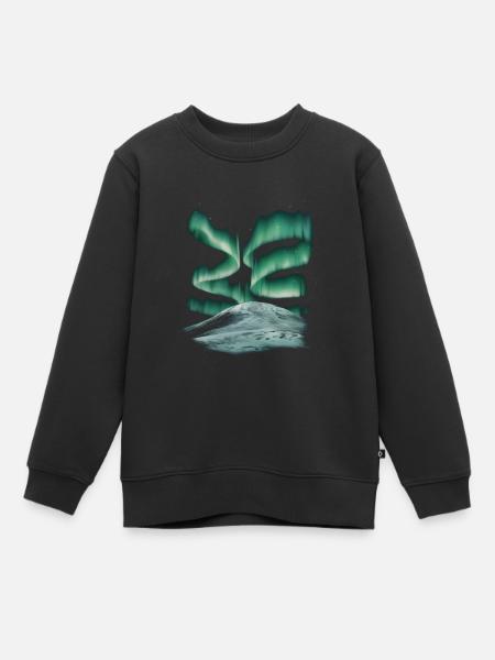Polarlichter Nordlights - Kinder Premium Organic Sweatshirt - Schwarz