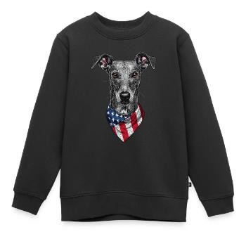 Windhund - Kinder Premium Organic Sweatshirt - Schwarz - Vorne - AI Model Kid Female (0cm)