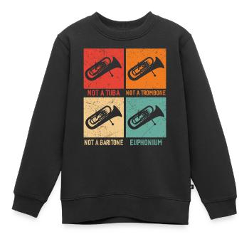 Euphonium – Kein Tuba, Kein Posaune - Kinder Premium Organic Sweatshirt - Schwarz - Vorne - AI Model Kid Female (0cm)