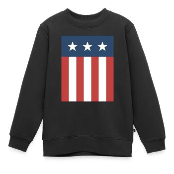 Stars and Stripes Flagge - Kinder Premium Organic Sweatshirt - Schwarz - Vorne - AI Model Kid Female (0cm)