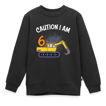 6. Geburtstag Junge 6 Jahre - Kinder Premium Organic Sweatshirt - Schwarz - Vorne - AI Model Kid Female (0cm)