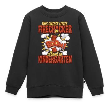 Süßeste Kinder Feuerwerk Kindergarten - Kinder Premium Organic Sweatshirt - Schwarz - Vorne - AI Model Kid Female (0cm)