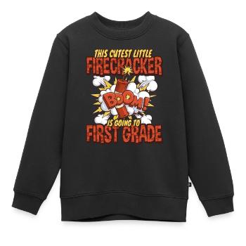 Süßeste Kinder Feuerwerk erste Klasse - Kinder Premium Organic Sweatshirt - Schwarz - Vorne - AI Model Kid Female (0cm)